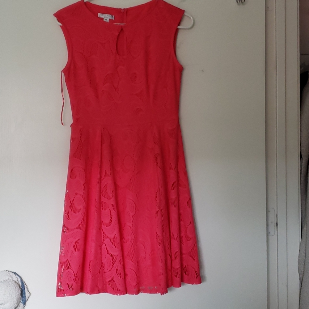 Pink Dress